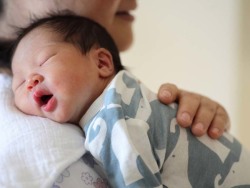 女人代怀试管